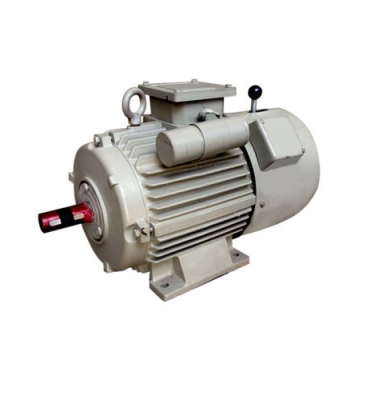 Brake Motors